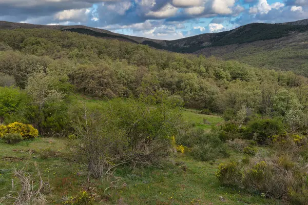 ...İspanya 'daki Sierra de Guadarrama Dağları' nda ilkbahar manzarası