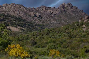 Güneşli bir günde bahar manzaralı dağ manzarası