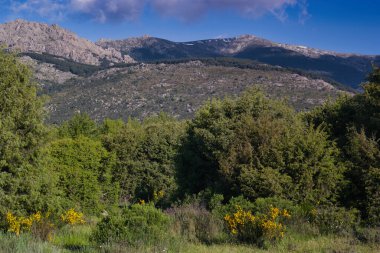 Güneşli bir günde bahar manzaralı dağ manzarası