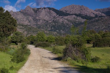Güneşli bir günde bahar manzaralı dağ manzarası