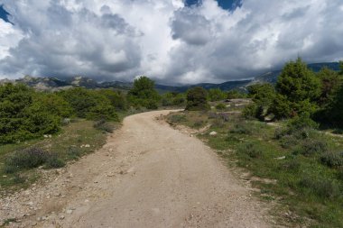 Güneşli bir günde bahar manzaralı dağ manzarası