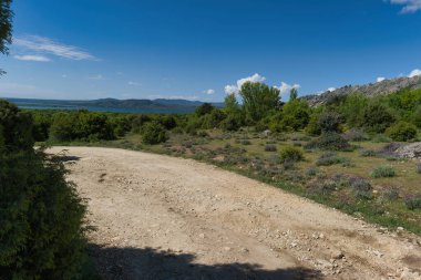 Güneşli bir günde bahar manzaralı dağ manzarası
