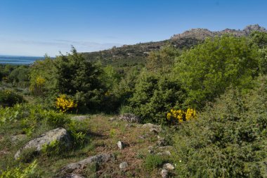 Güneşli bir günde bahar manzaralı dağ manzarası