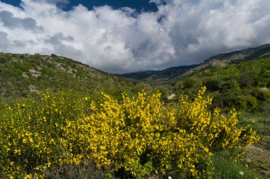 Güneşli bir günde bahar manzaralı dağ manzarası