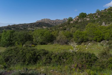 Güneşli bir günde bahar manzaralı dağ manzarası