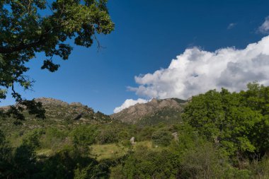 Güneşli bir günde bahar manzaralı dağ manzarası