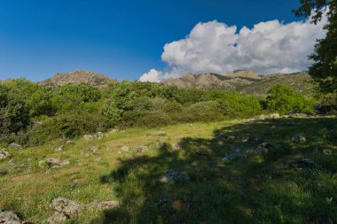 Güneşli bir günde bahar manzaralı dağ manzarası