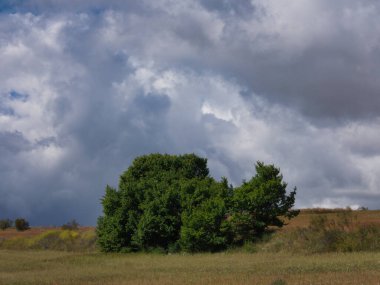 Güzel, güneşli bir günde gökyüzünde kabarık bulutlar olan kırsal alanların güzel manzarası.