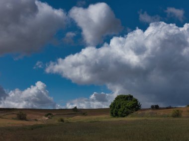 Güzel, güneşli bir günde gökyüzünde kabarık bulutlar olan kırsal alanların güzel manzarası.