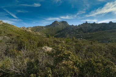 Madrid yakınlarında güneşli bir günde bahar dağı manzarası.