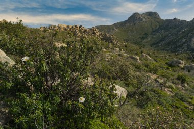 Madrid yakınlarında güneşli bir günde bahar dağı manzarası.