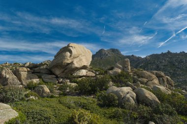 Madrid yakınlarında güneşli bir günde bahar dağı manzarası.