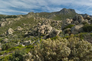 Madrid yakınlarında güneşli bir günde bahar dağı manzarası.