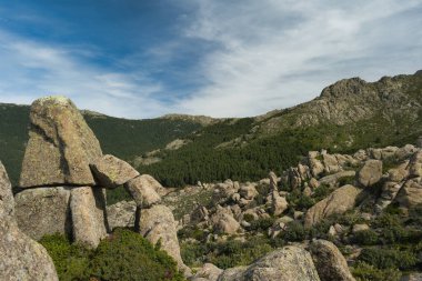 Madrid yakınlarında güneşli bir günde bahar dağı manzarası.