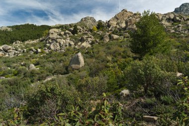 Madrid yakınlarında güneşli bir günde bahar dağı manzarası.