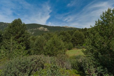 Madrid yakınlarında güneşli bir günde bahar dağı manzarası.