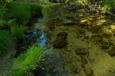 Güneşli bir günde bir dağ deresinin manzarası