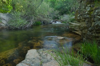 Güneşli bir günde bir dağ deresinin manzarası