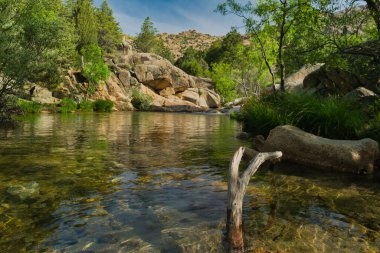 Güneşli bir günde bir dağ deresinin manzarası
