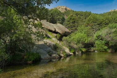 Güneşli bir günde bir dağ deresinin manzarası