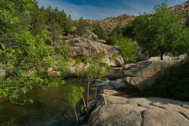 Güneşli bir günde bir dağ deresinin manzarası