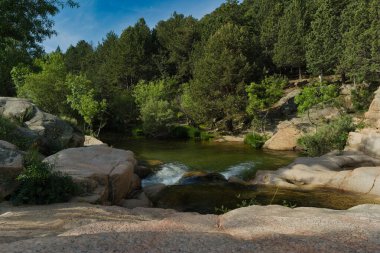 Güneşli bir günde bir dağ deresinin manzarası