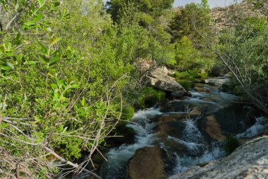 Güneşli bir günde bir dağ deresinin manzarası
