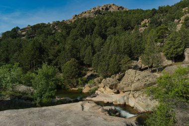 Güneşli bir günde bir dağ deresinin manzarası