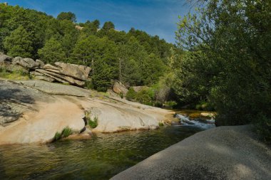 Güneşli bir günde bir dağ deresinin manzarası