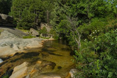 Güneşli bir günde bir dağ deresinin manzarası