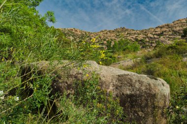 İspanya 'nın merkezindeki dağların bahar manzarası