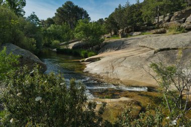 Güneşli bir günde bir dağ deresinin manzarası
