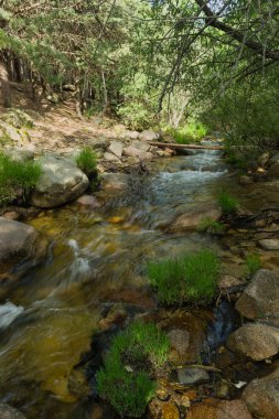 Güneşli bir günde bir dağ deresinin manzarası