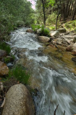 Güneşli bir günde bir dağ deresinin manzarası