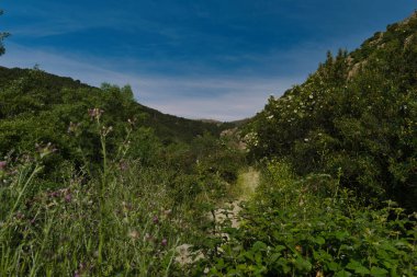 İspanya 'nın merkezindeki dağların bahar manzarası