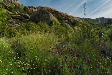 İspanya 'nın merkezindeki dağların bahar manzarası