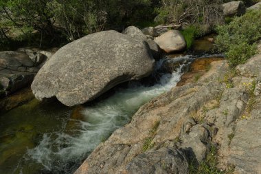 Güneşli bir günde bir dağ deresinin manzarası