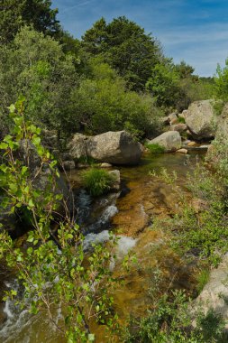 Güneşli bir günde bir dağ deresinin manzarası