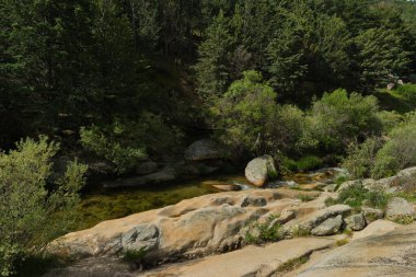 Güneşli bir günde bir dağ deresinin manzarası