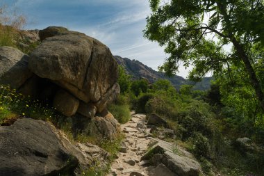 İspanya 'nın merkezindeki dağların bahar manzarası