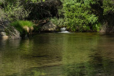 Güneşli bir günde bir dağ deresinin manzarası