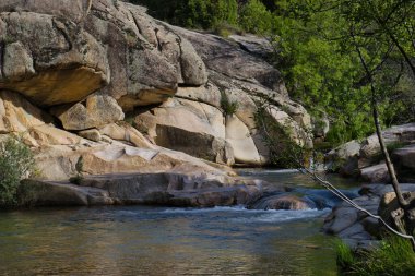 Güneşli bir günde bir dağ deresinin manzarası
