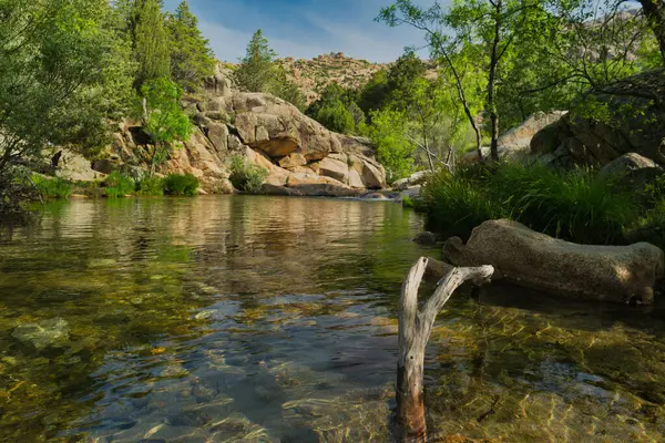 Güneşli bir günde bir dağ deresinin manzarası