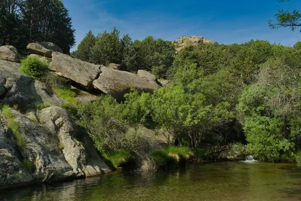 Güneşli bir günde bir dağ deresinin manzarası