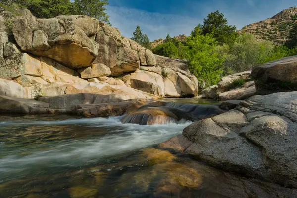Güneşli bir günde bir dağ deresinin manzarası