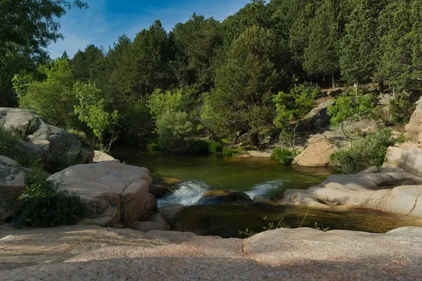 Güneşli bir günde bir dağ deresinin manzarası