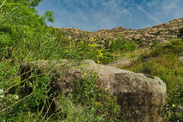 İspanya 'nın merkezindeki dağların bahar manzarası