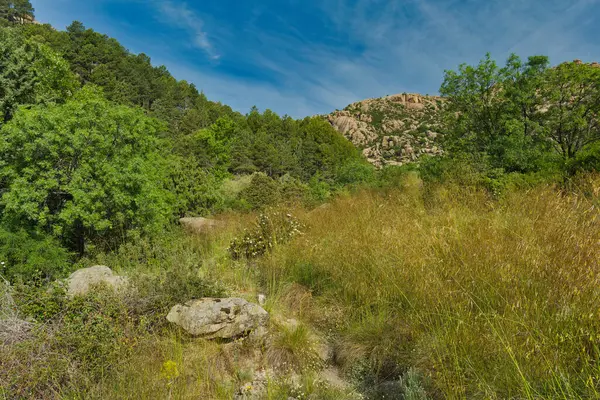 İspanya 'nın merkezindeki dağların bahar manzarası