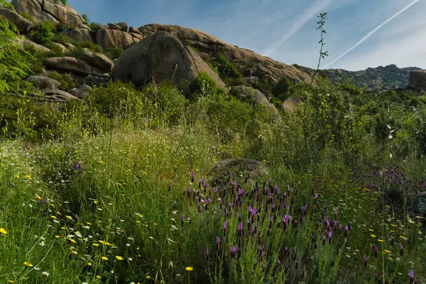İspanya 'nın merkezindeki dağların bahar manzarası
