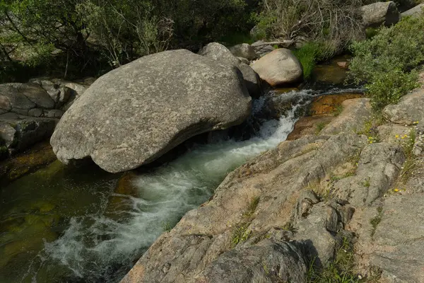 Güneşli bir günde bir dağ deresinin manzarası